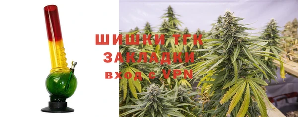 мяу мяу мука Аркадак
