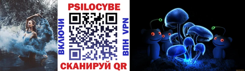 Псилоцибиновые грибы прущие грибы  Судак 